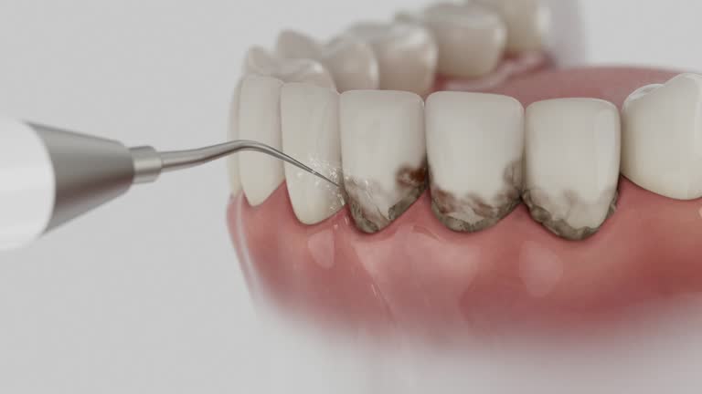Reliable Dental contractor in Greenwood, MS by Dentist Open Now